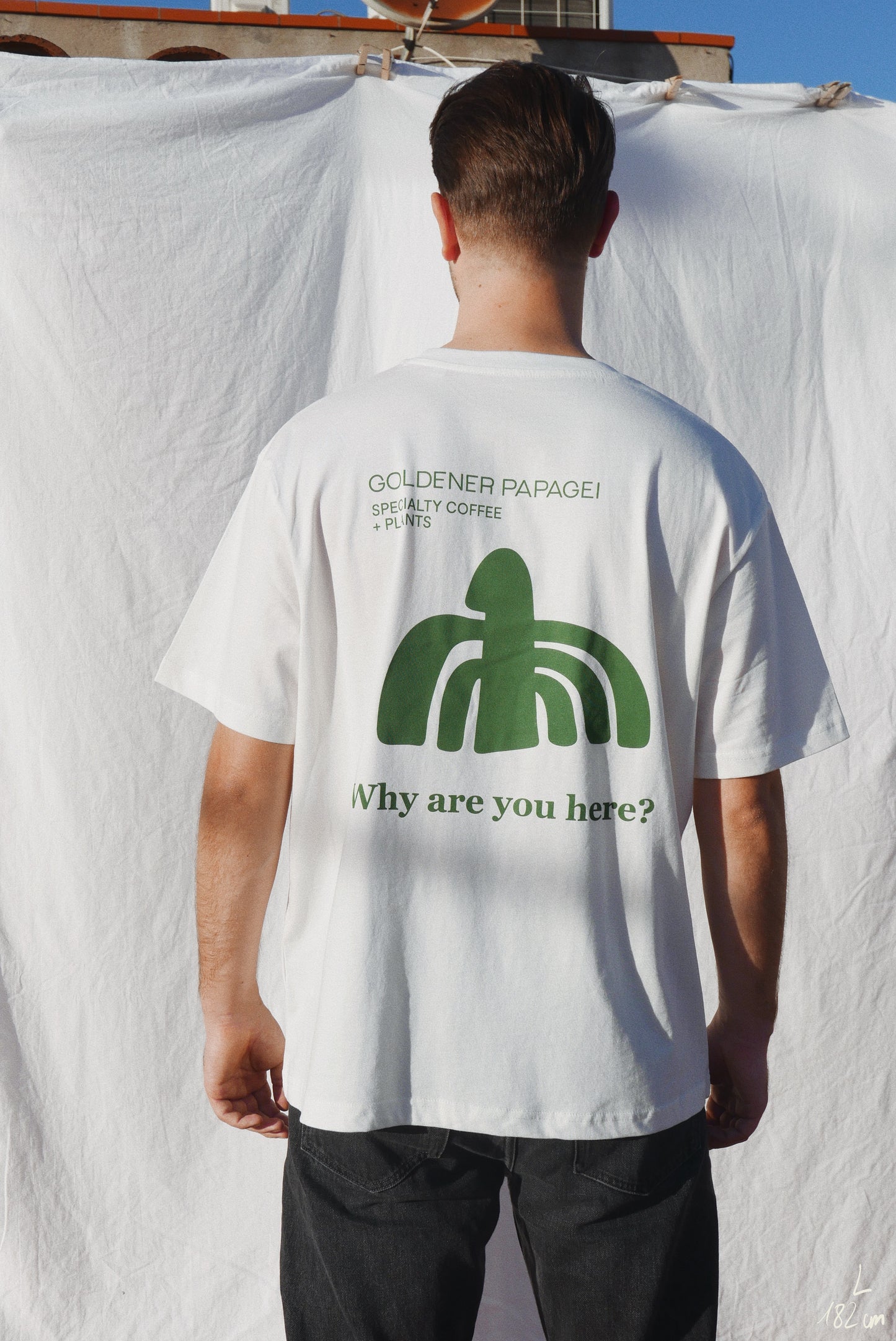 Why are you here? - Goldener Papagei
